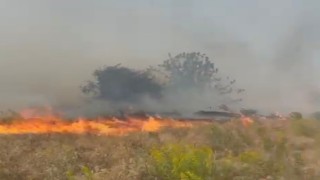 Doğanyolda bahçe yangını