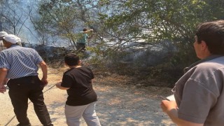 Domaniçte bahçelik alanda çıkan yangın kısa sürede kontrol altına alındı