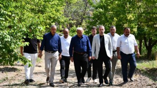 Don Felaketi Malatya’da Kayısı Üreticisini Vurdu: Çiftçi Destek Bekliyor