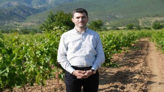 Don geciktirdi ama üretim düşmedi, yaprakta hedef 2 milyar liralık gelir