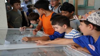 Dondurulmuş hayvan müzesine büyük ilgi