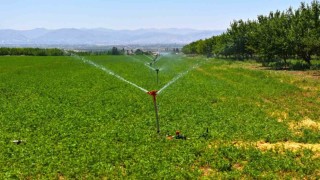 DSİ Genel Müdürü Balta: Malatyada sulama ile ekonomiye 17,5 milyar TL katkı hedefleniyor
