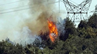 Düzce - Sakarya sınırında çıkan orman yangınına müdahale sürüyor
