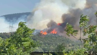 Düzce - Sakarya sınırında orman yangını