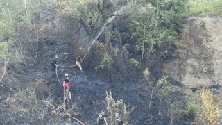 Düzce-Sakarya sınırındaki orman yangını kontrol altına alındı