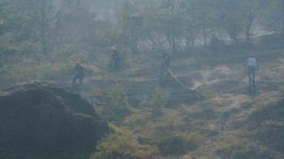 Düzce-Sakarya sınırındaki yangına havadan ve karadan müdahale sürüyor