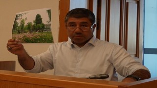 Düzcede kişi başına 29 metrekare yeşil alan düşüyor