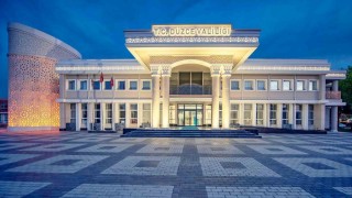 Düzcede sahipsiz sokak köpeği toplarken özensiz davranış gösteren çalışanlar hakkında soruşturma başlatıldı