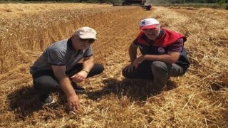 Düzcede verimli hasat için yerinde denetim