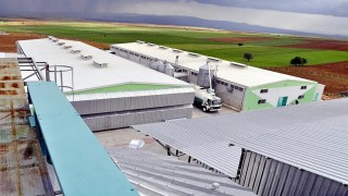 (Düzeltme) Afyonkarahisardaki yumurta firmasına, FETÖ soruşturması kapsamında kayyum atandı