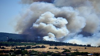 Edirne Keşanda orman yangını