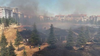 Edirnede çıkan yangın tarihi tabyaya zarar verdi