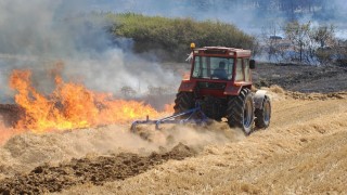 Edirnede orman ve anız yangınına havadan ve karadan müdahale sürüyor