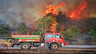 Edirnede orman ve anız yangınında alevler metrelerce yükseldi