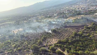 Edremitte tarım arazisinde çıkan yangın korkuttu