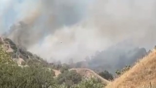 Efelerde zirai alan yangını