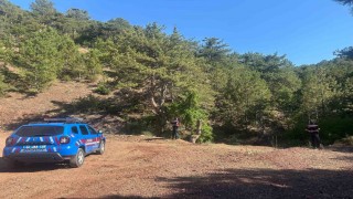 Eğirdirde ormanlık alanlarda sıkı denetim