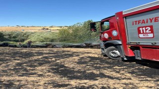 Ekin yangınına itfaiye ekipleri müdahale etti