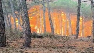 Ekiplerin yangının ortasında kaldığı anlara ait görüntüler ortaya çıktı