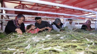 Elazığ tarihinin en büyük ipek böcekçiliği çiftliğini kurdu: Onlarca yeni üreticiye ilham oldu