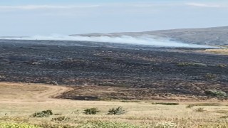 Elazığda arazi yangını