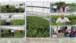 Elazığda bahçe ve sera alanlarında inceleme