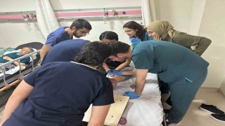 Elazığda bir kene vakası daha