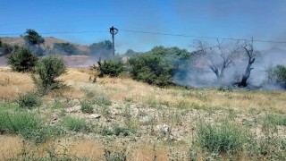 Elazığda korkutan yangın: Onlarca dönümlük alan kül oldu