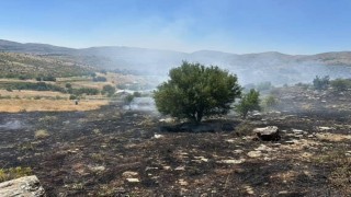 Elazığda otluk alanda çıkan yangın söndürüldü
