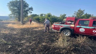 Elektrik akımına kapılan kuş yangına neden oldu