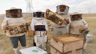 Emekli imam ve eşi zorlu yayla şartlarında üretimden vazgeçmiyor