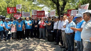 Enerji torba yasasından köylüye müjde çıktı: Taşınan zeytin ağacının iki katı kadar yeniden dikilecek