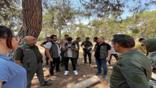 Erdemli Orman İşletmesinde Yenilikçi Barkod Sistemi Eğitimi verildi