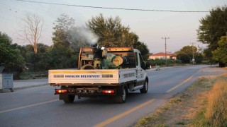 Erenlerde ilaçlama çalışmaları titizlikle sürüyor