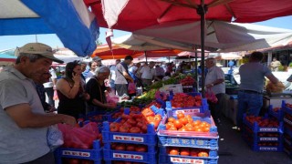 Erzincan domatesi çevre illerde sofraları süslüyor