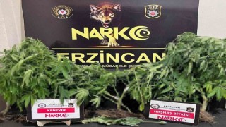 Erzincan polisi uyuşturucuya geçit vermiyor