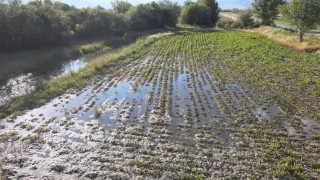 Erzincanda çiftçilerin kanal isyanı: Bir senenin emeği sular altında kaldı
