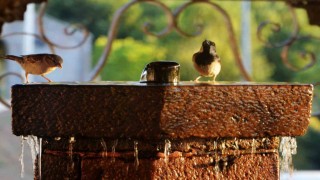 Erzurum ve çevresi için kavurucu sıcaklık uyarısı