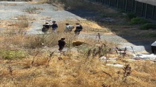 Esenyurtta gündüz vakti uyuşturucu kullanan şahıslar cep telefonu kamerasına yansıdı