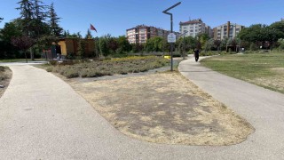 Eskişehir Recep Tayyip Erdoğan Millet Bahçesi bakımsız kaldı