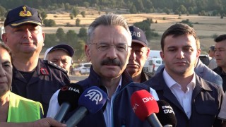 Eskişehir Valisi Aksoy: Yangında 60 hektar alan zarar gördü