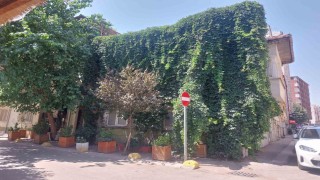 Eskişehirde doğa, evle bütünleşti