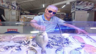 Eskişehirde sardalya ve kefalin mevsimi başladı