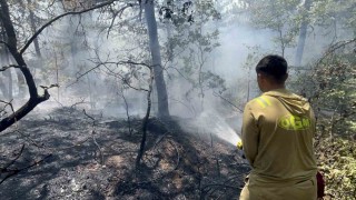 Eskişehirdeki yangının 30uncu saatinde kontrol altına alın bazı bölgelerde yeniden alevler yükseldi