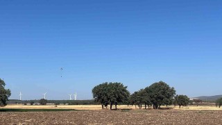 Ezinede tarım arazisinde çıkan yangın kontrol altına alındı