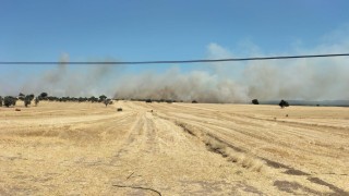 Ezinede tarım arazisinde yangın