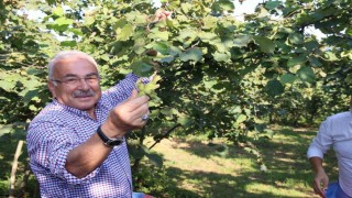 Ferreroya yasak geldi