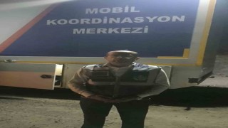 Festivalin bütçesi, ormanları yeşillendirecek