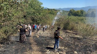 Fındık bahçesinde temizlerken bir dönüm alan zarar gördü