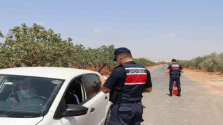 Fıstık hırsızlığına karşı jandarmadan sıkı denetim